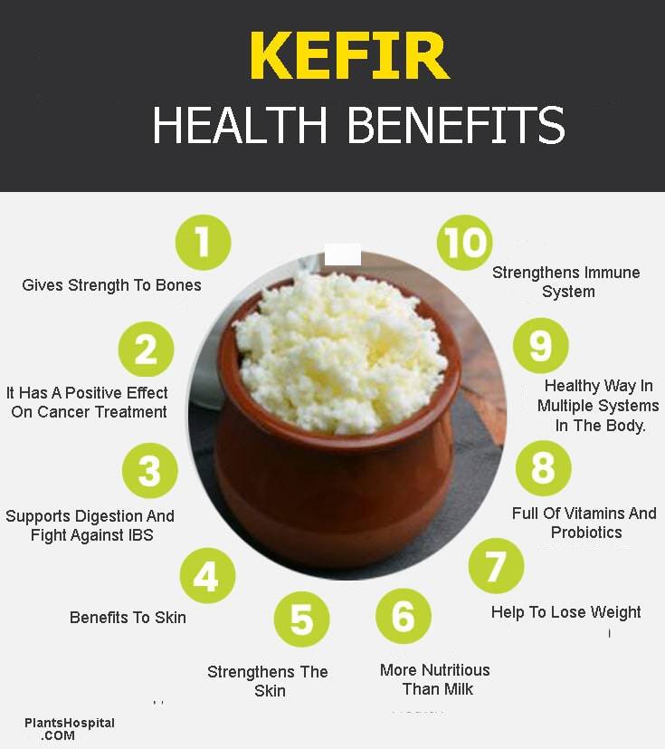 Kefir grains health benefits