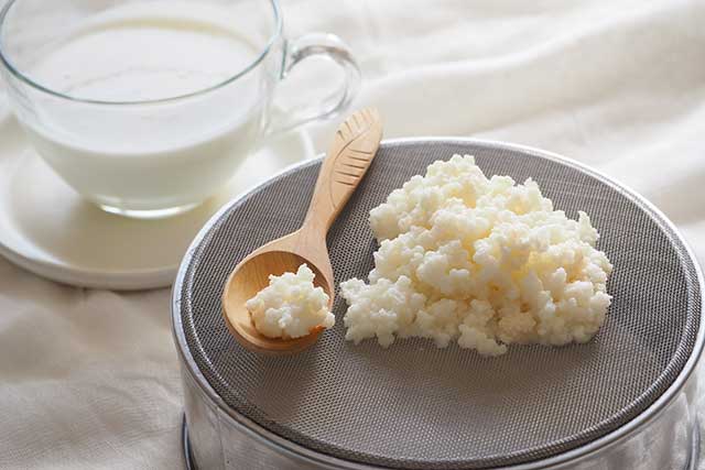 Feelgood kefir grains improves diabetes, regulates cholesterol, blood pressure, blood sugar. Good source of proteins.