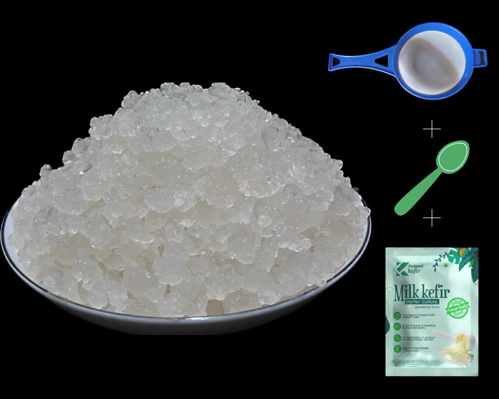 LIVE LARGE sized Water Kefir grains (50 grams) Complementary Large