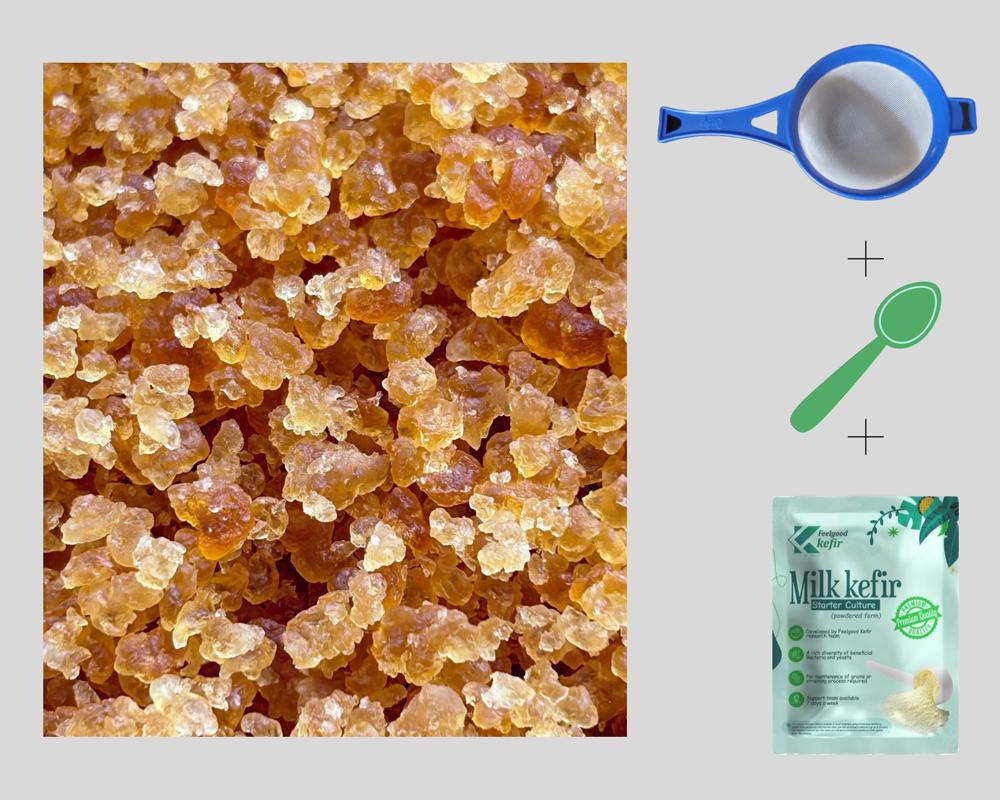 Dehydrated Water Kefir grains Around 50 grams on Rehydration 1 YEAR Shelf life Safe