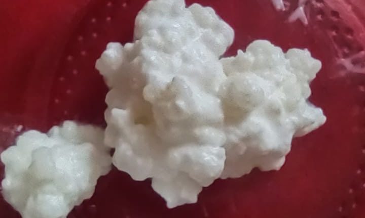 Kefir grains images from customers